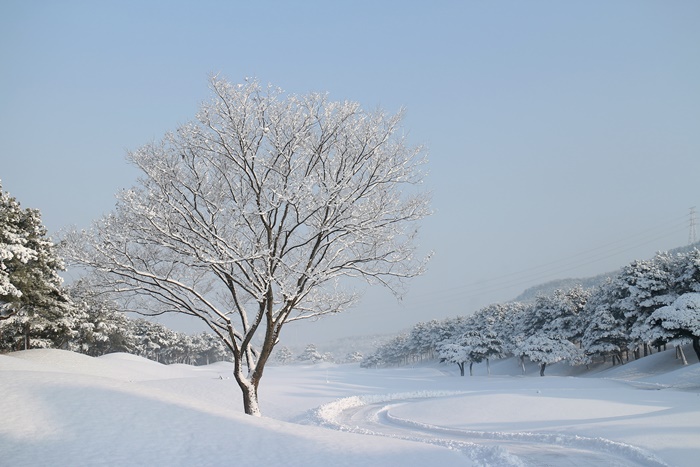 일동레이크 겨울 풍경